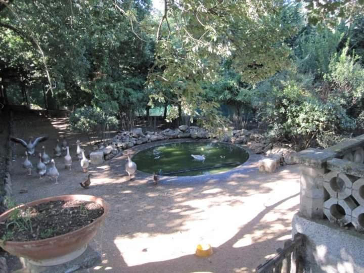 Parco Delle Streghe Villa Scarlino Buitenkant foto