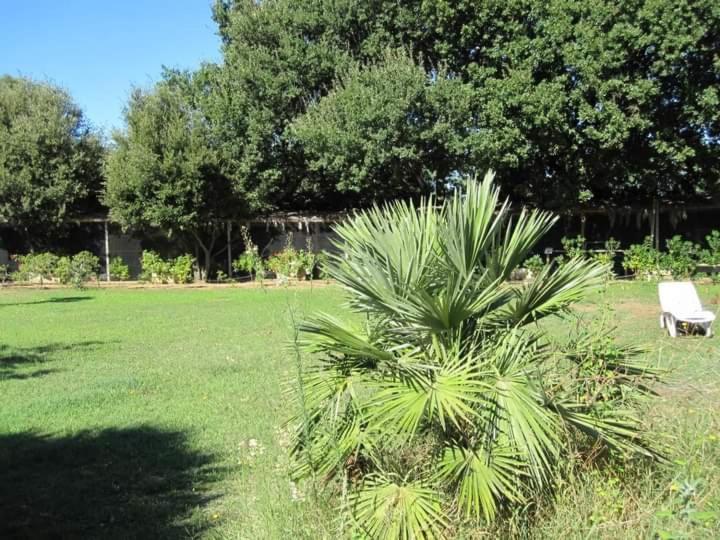 Parco Delle Streghe Villa Scarlino Buitenkant foto