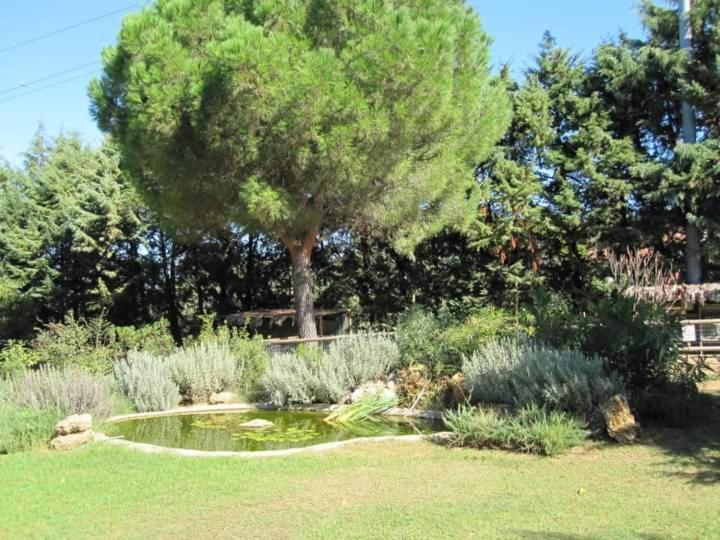 Parco Delle Streghe Villa Scarlino Buitenkant foto