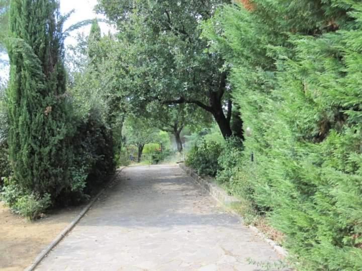 Parco Delle Streghe Villa Scarlino Buitenkant foto