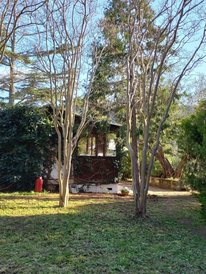 Parco Delle Streghe Villa Scarlino Buitenkant foto